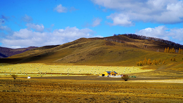二,描写秋天特色景象的佳句